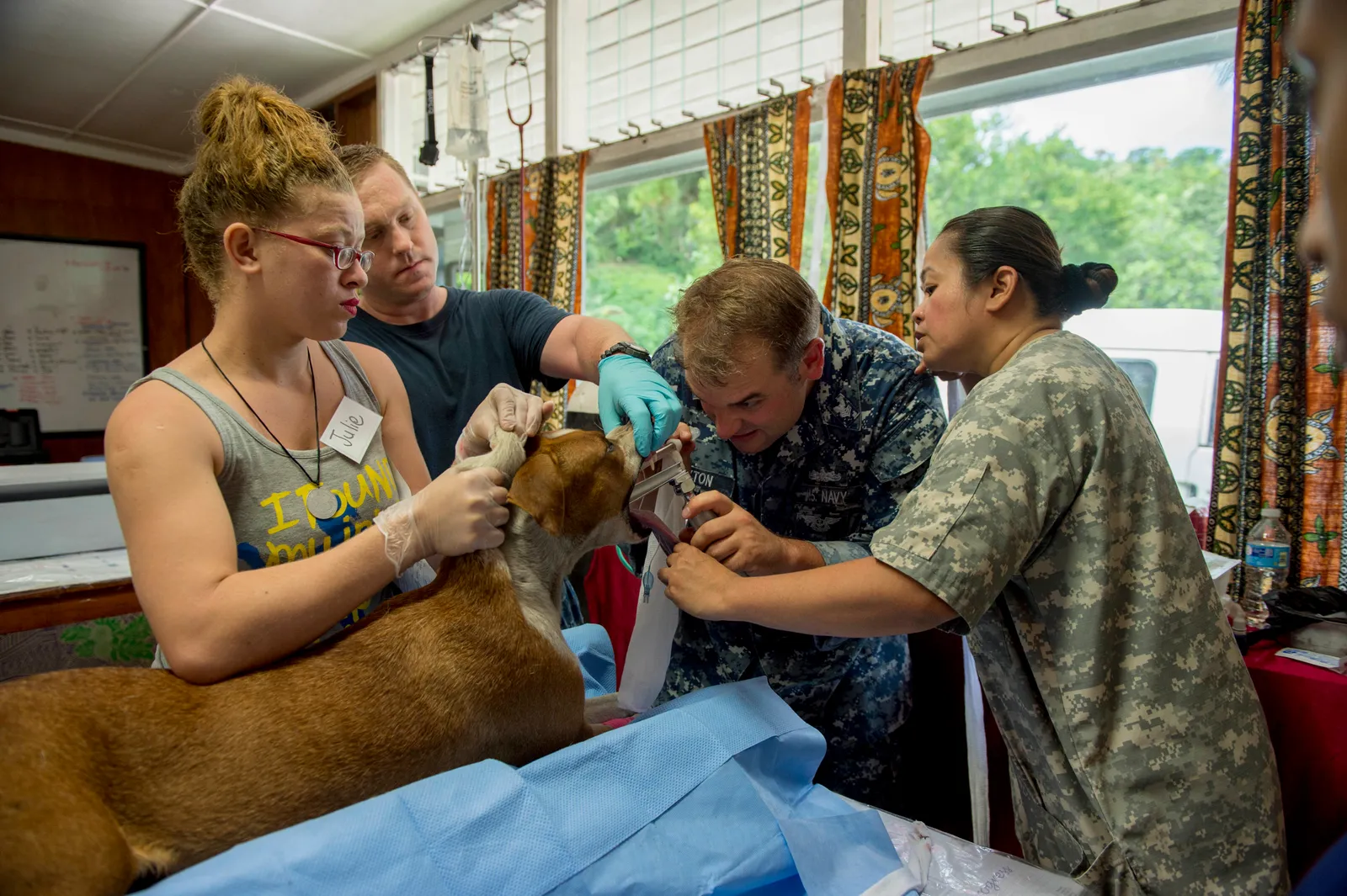 #2 - Assuming "He's Too Old" for Surgery or Real Treatment (By Senior Airman peter reft, Public domain)