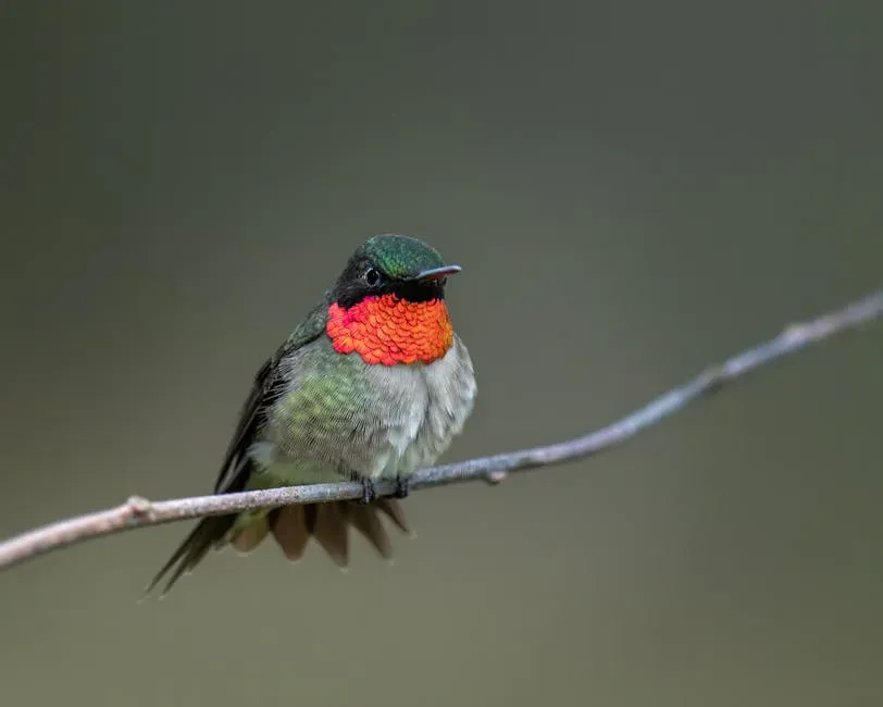 #3. Males Quietly Disappear First - Without Any Fanfare (Image Credits: Pexels)