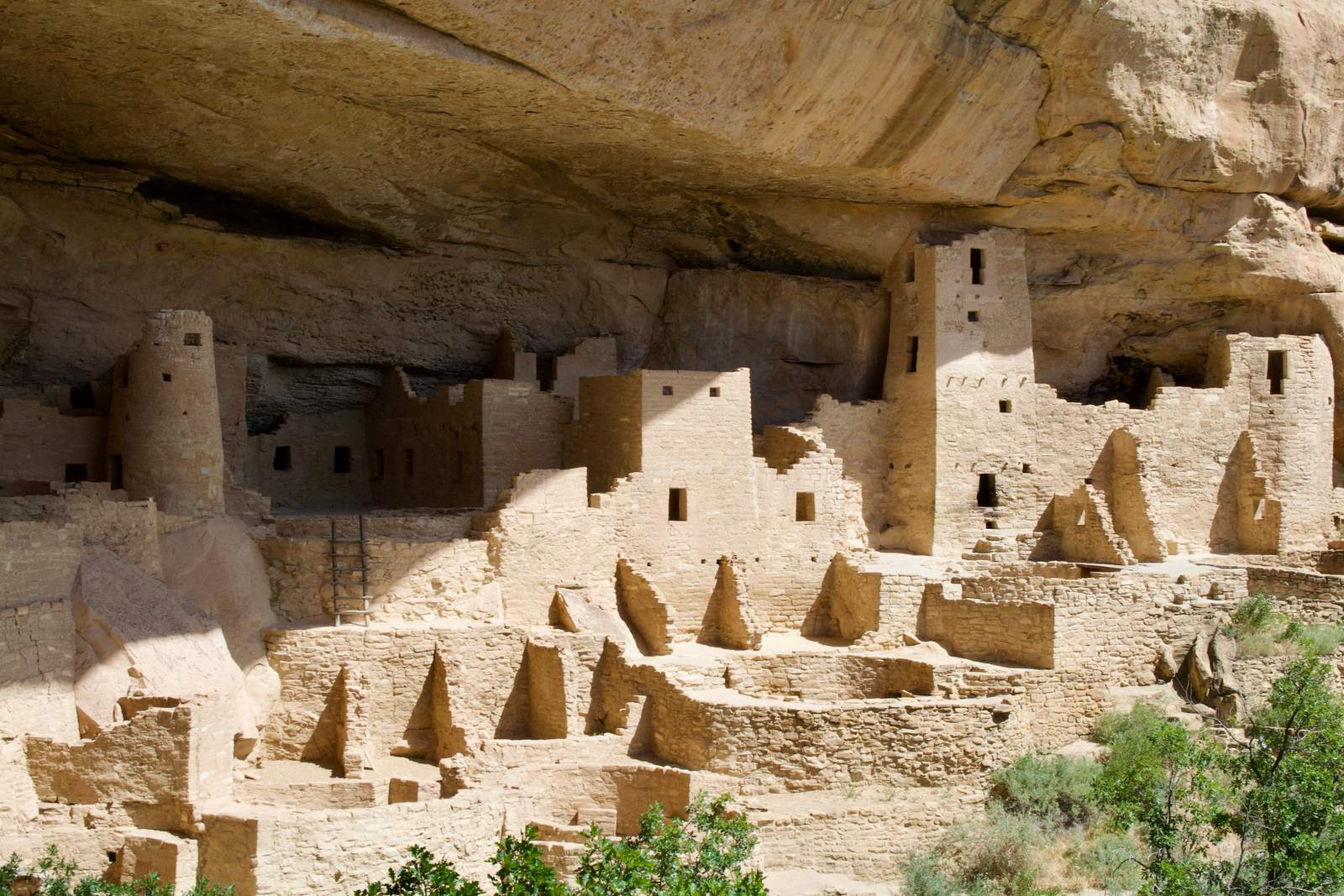 Mesa Verde National Park, Colorado (Image Credits: Wikimedia)