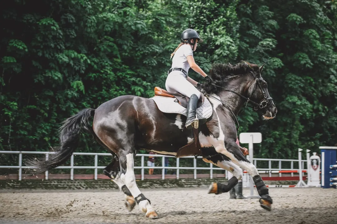 #13 - It Physically Guards That Rider From Other Horses (Image Credits: Unsplash)