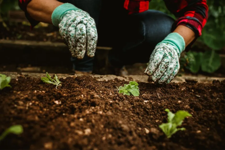 #7 - You're Planting Way More Than You Can Manage (Image Credits: Pexels)