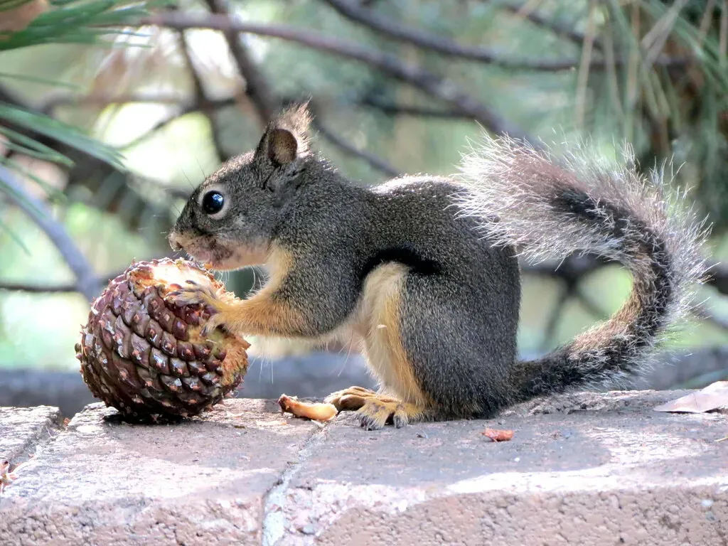 Seasonal Timing and Triggers (K Christiansen Photos, Flickr, CC BY 2.0)