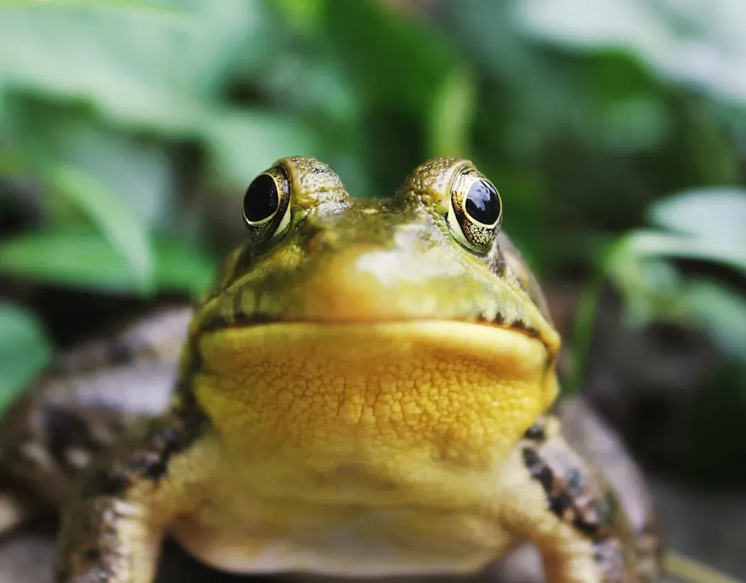 Natural Cycles and Adaptations (Image Credits: Unsplash)