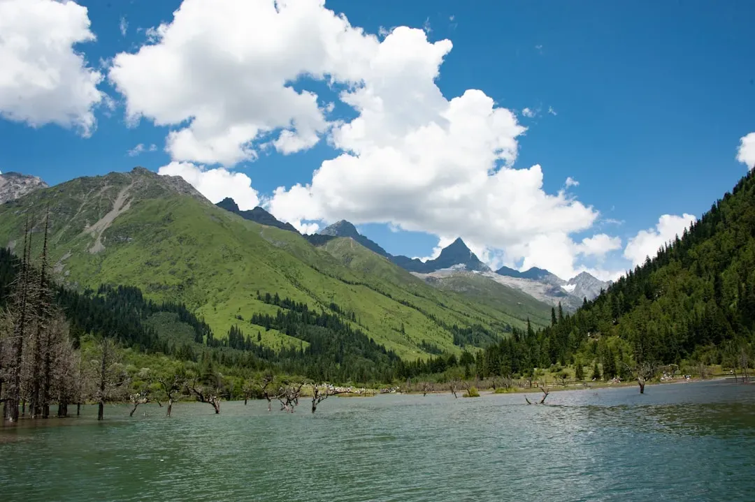 Water From the Rockies Flows Into Three Different Oceans (Image Credits: Unsplash)