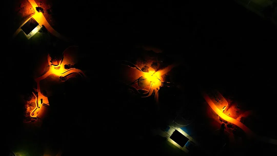 Each Species Has Its Own Flash Pattern (Image Credits: Unsplash)