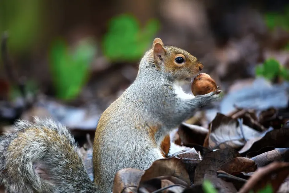 #2. They Are Accidental Master Gardeners of the Forest (Image Credits: Pexels)