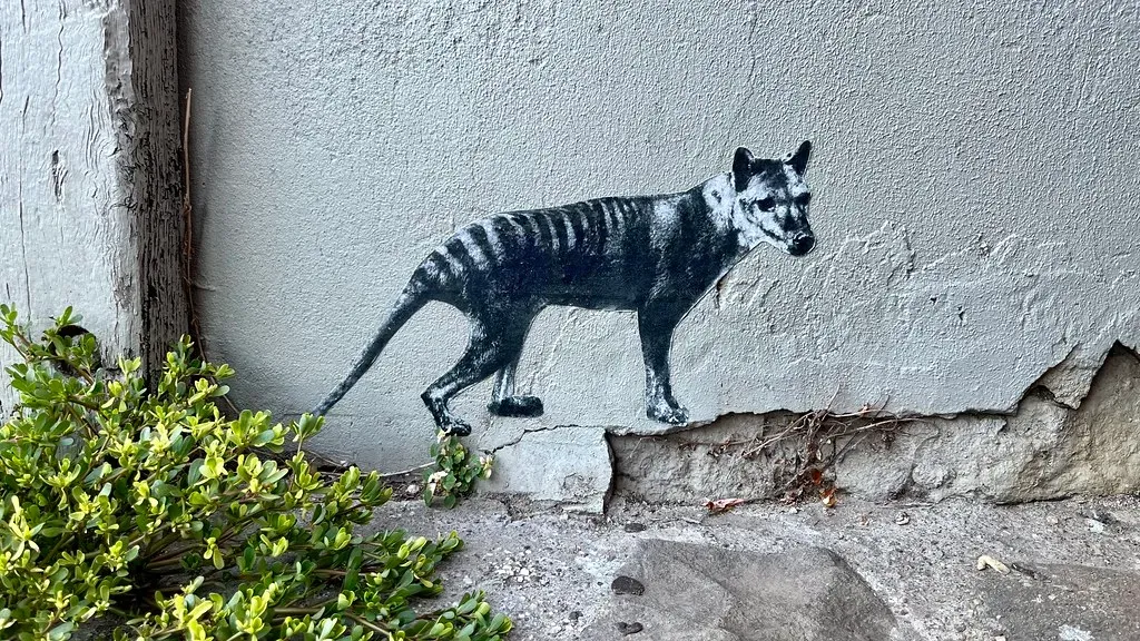 3. The Thylacine, or Tasmanian Tiger (Australia and Tasmania, Extinct 1936) (neonluxe, Flickr, CC BY-SA 2.0)