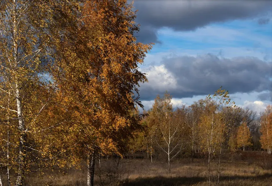 #2: A Thriving Habitat for Birds, Insects, and Wildlife (Image Credits: Pexels)