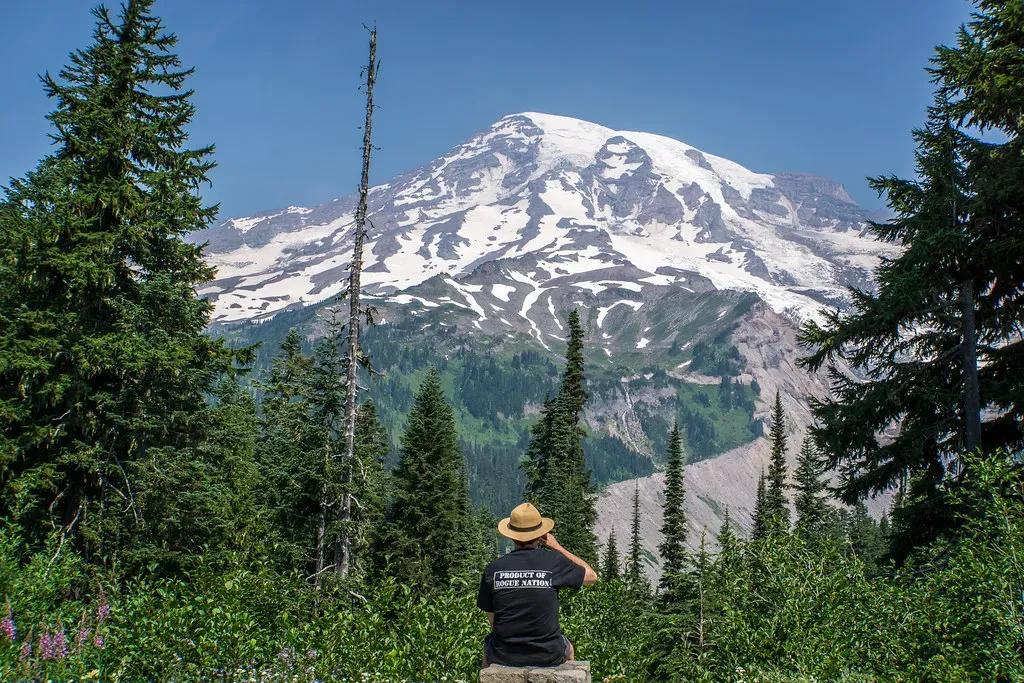 Skyline Trail At Mount Rainier: Where Wildflowers Meet Glaciers (Image Credits: Flickr)