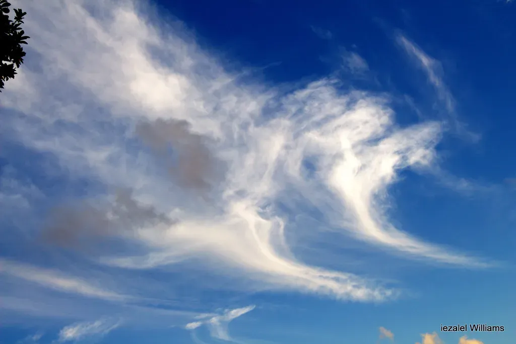 Air: The Element of Intellect and Connection (Image Credits: Flickr)