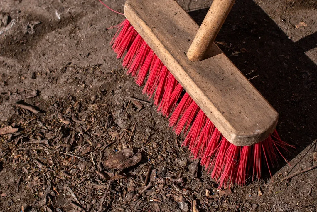 Clear Out Winter Debris Before It Causes Problems (Image Credits: Unsplash)