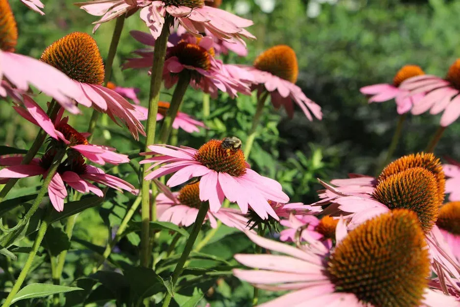 #11 Leaving No Gaps in Bloom Time Through the Seasons (Image Credits: Pexels)