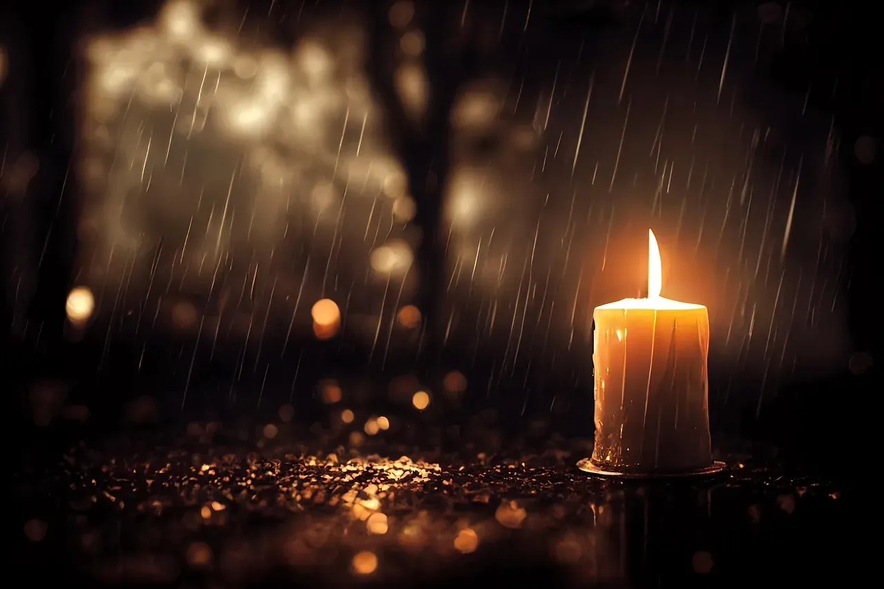 #12 - Libra: Beauty in the Aftermath (Image Credits: Pixabay)