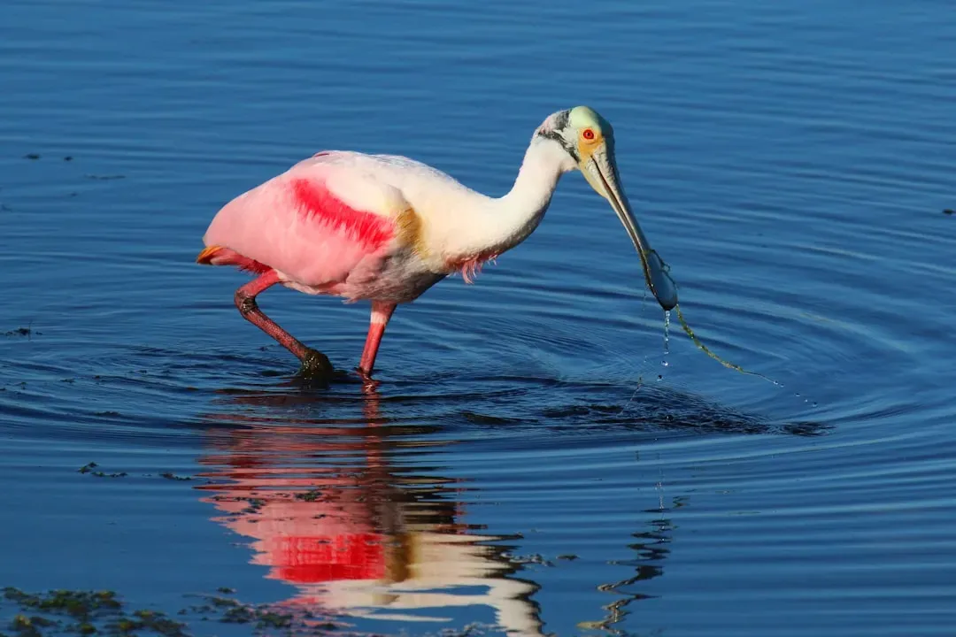 Why Wetland Science Became the Game Changer (Image Credits: Unsplash)