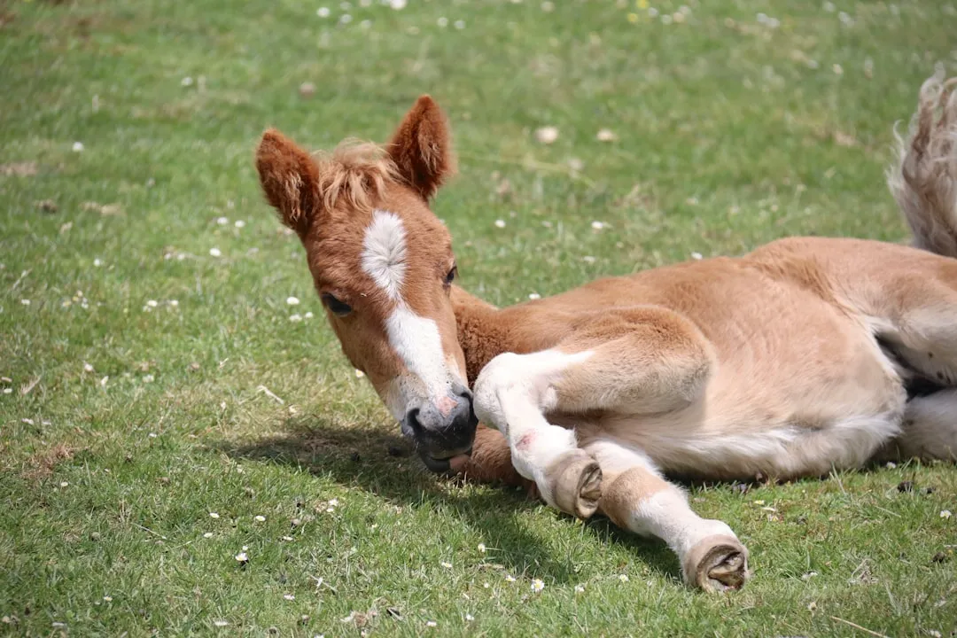#5 - They Show You "Baby Brain" While Acting Stoic for Everyone Else (Image Credits: Unsplash)