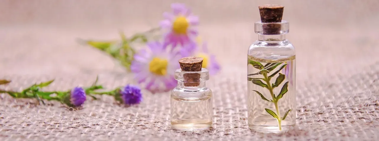 Conclusion: Building Your Scent Defense Strategy (Image Credits: Pixabay)