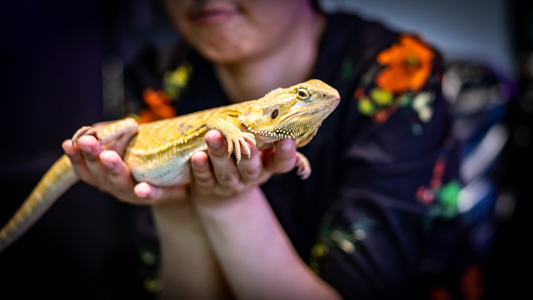 Hopi Tribe and the Sacred Snake (Image Credits: Unsplash)