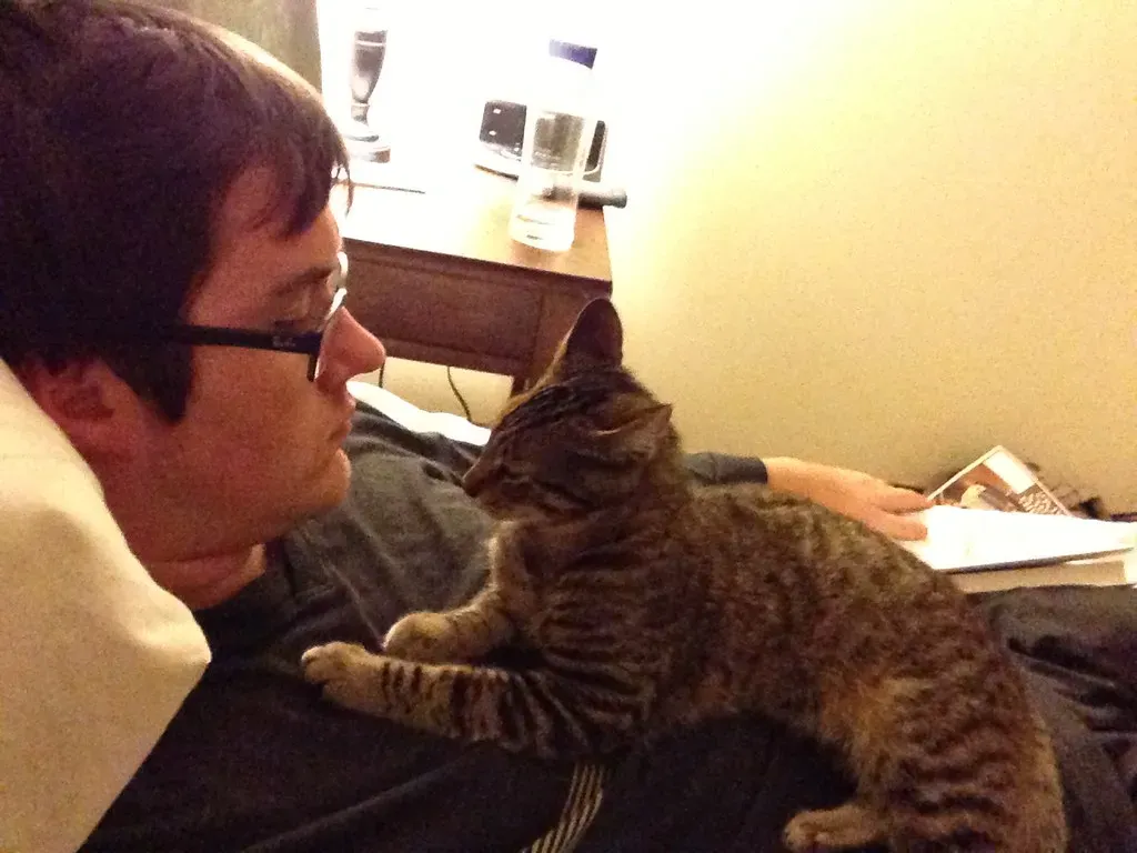 #1 Forcing Physical Contact When They Haven't Asked for It (Phil Denton, Flickr, CC BY-SA 2.0)