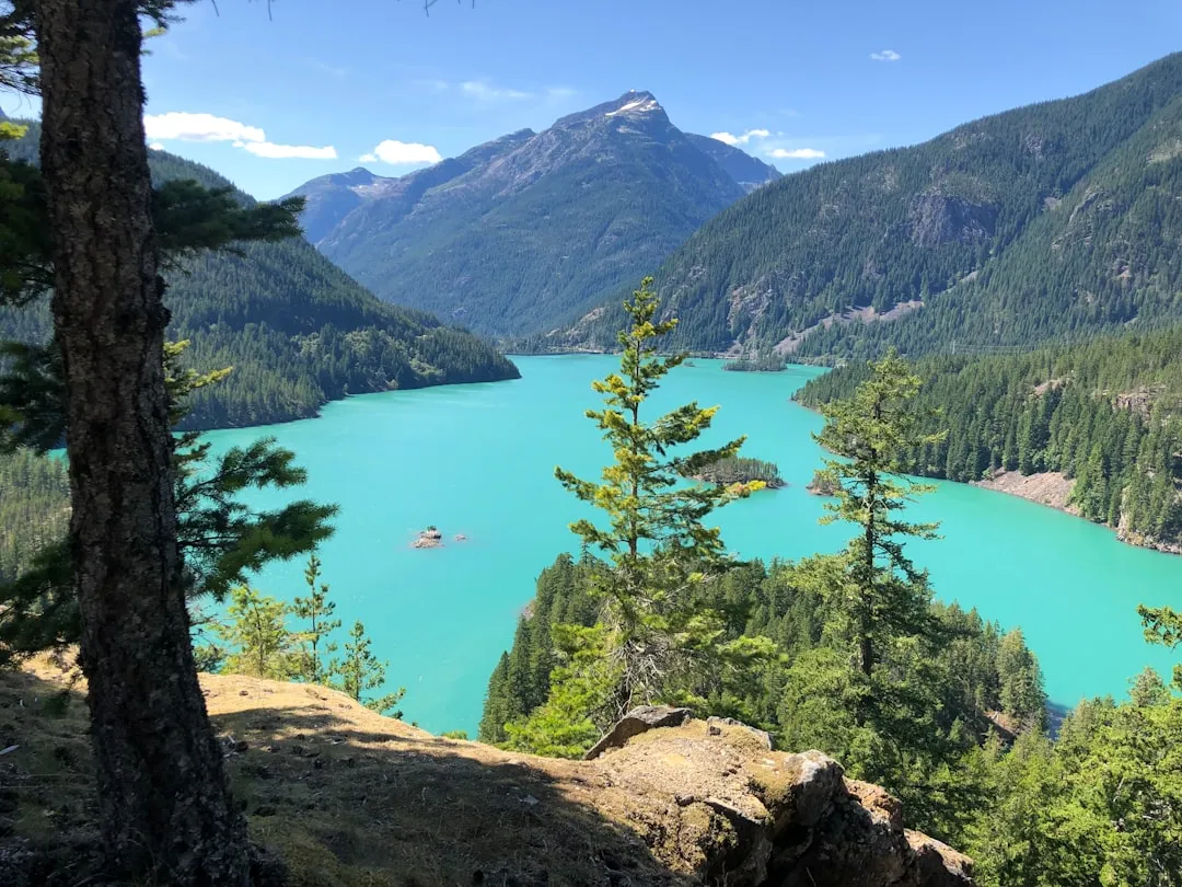 #7 - Diablo Lake, Washington: The Glacial Twin Nobody Talks About (Image Credits: Unsplash)