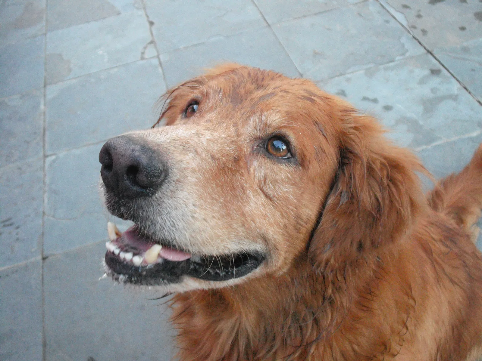 10. Staring at You Across the Room (By Teles, CC BY-SA 3.0)
