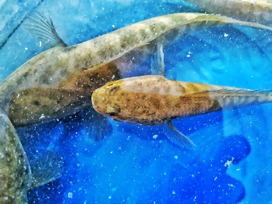 #10. The Desert Pupfish: A Fish Living in the Desert (Image Credits: Pexels)