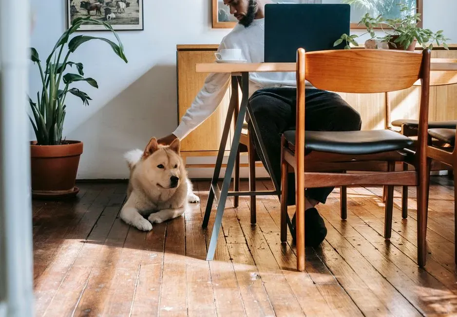 #13 – The Quiet Room Choice Beside You (Image Credits: Pexels)