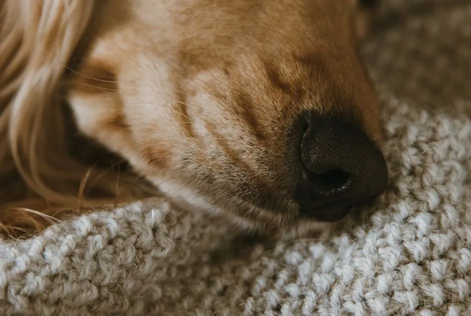 #11 - Breathing Slower and Deeper During Physical Contact (Image Credits: Pexels)
