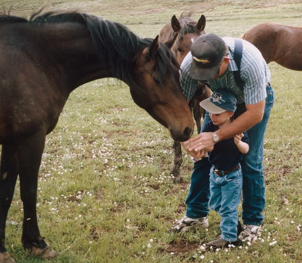 #3 - Turning Down the Treats That Rider Always Offered (plasticrevolver, Flickr, CC BY-SA 2.0)