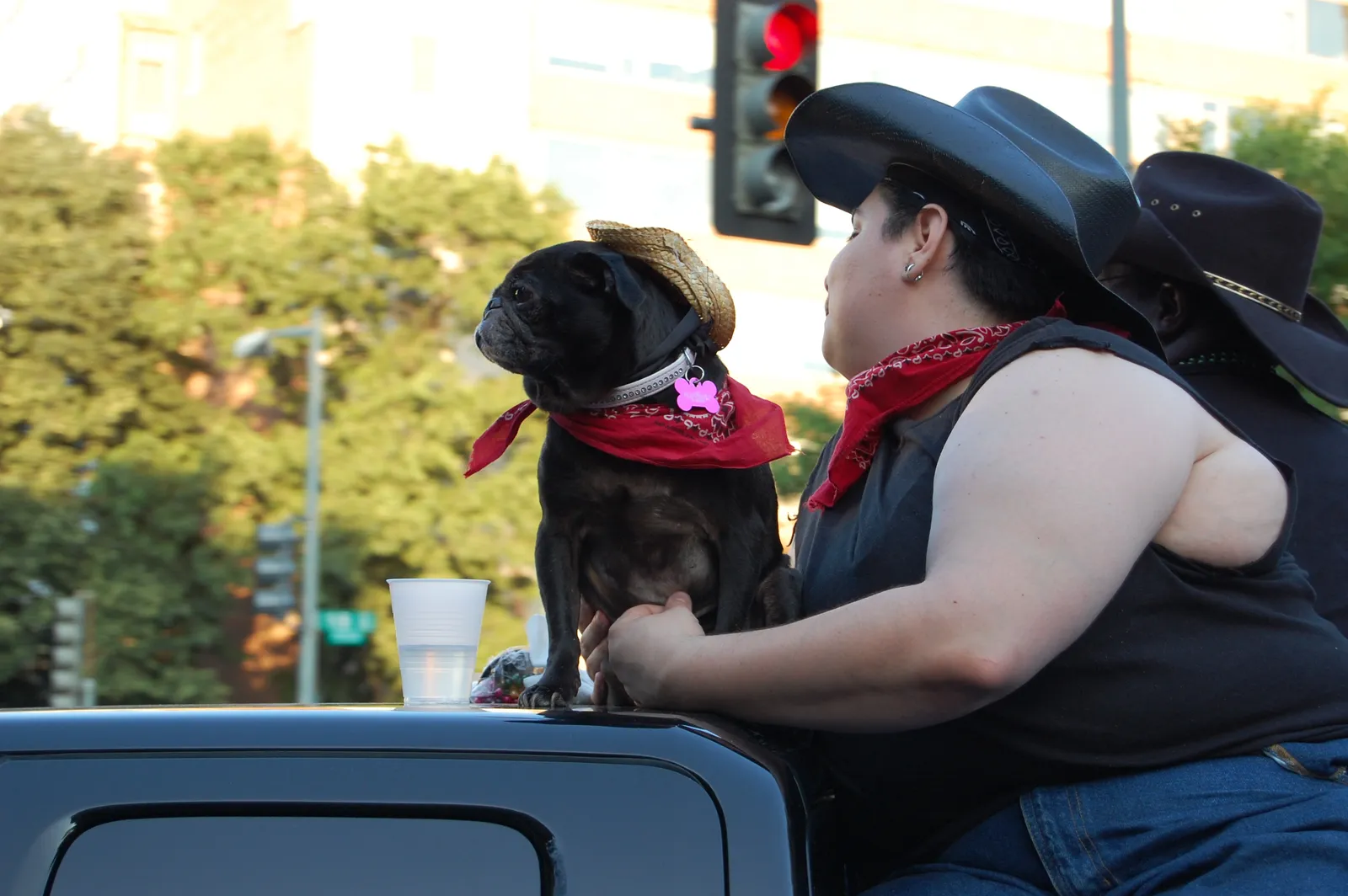 The Bottom Line (Owner and Pet, CC BY 2.0)