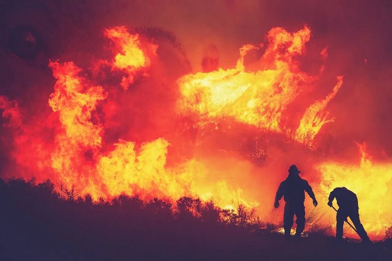 Fires Are Burning into Places They Never Used to Reach (Image Credits: Pixabay)