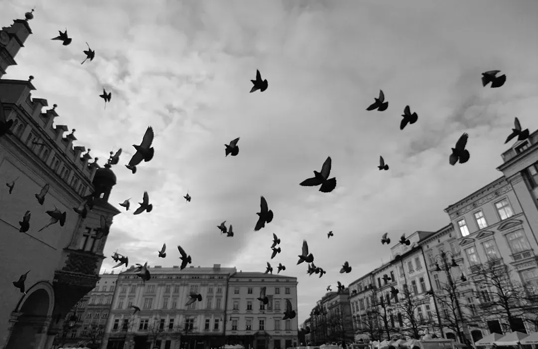 Strange Sightings That Refuse to Stop (Image Credits: Unsplash)