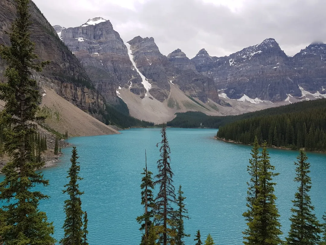 4. Moraines: Glacial Ridges That Quietly Dammed the Lakes (Image Credits: Unsplash)
