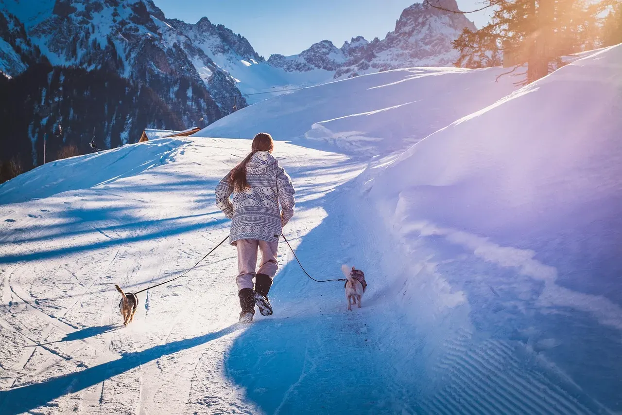 Sharing Active Adventures Together (Image Credits: Pixabay)