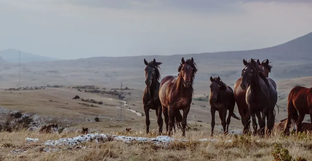 How Federal Law Shapes Their Fate (Image Credits: Unsplash)