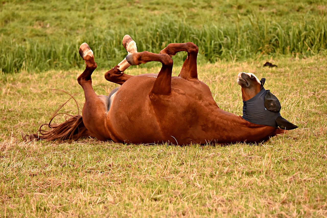 The Contagious Joy Factor (Image Credits: Pixabay)