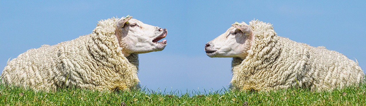 The Science Behind Animal Communication (Image Credits: Pixabay)