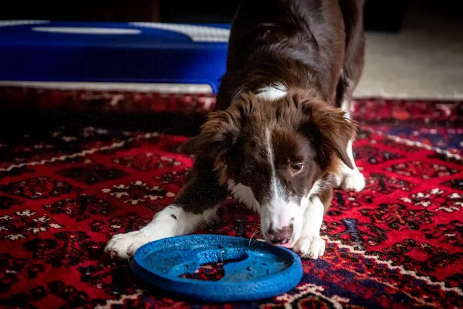 What to Do If Your Pet Shows These Signs (Image Credits: Pexels)