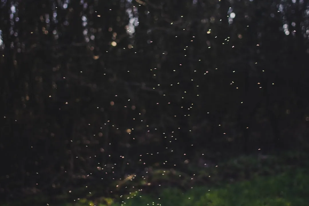 #3 Pesticides And Lawn Chemicals Are Hitting Them Hard (Image Credits: Unsplash)