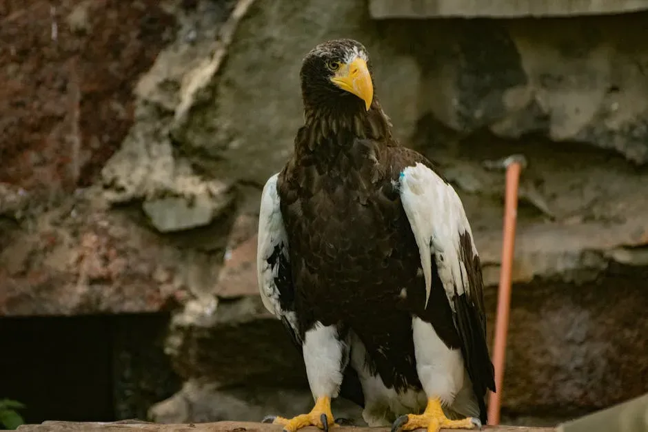 5. The Steller's Sea-Eagle: The Giant That Crossed a Continent (Image Credits: Pexels)