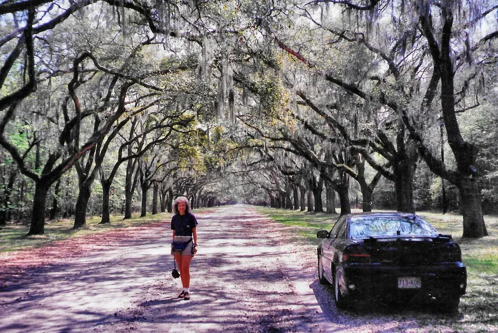 Savannah, Georgia: Where Moss and History Intertwine (Image Credits: Flickr)