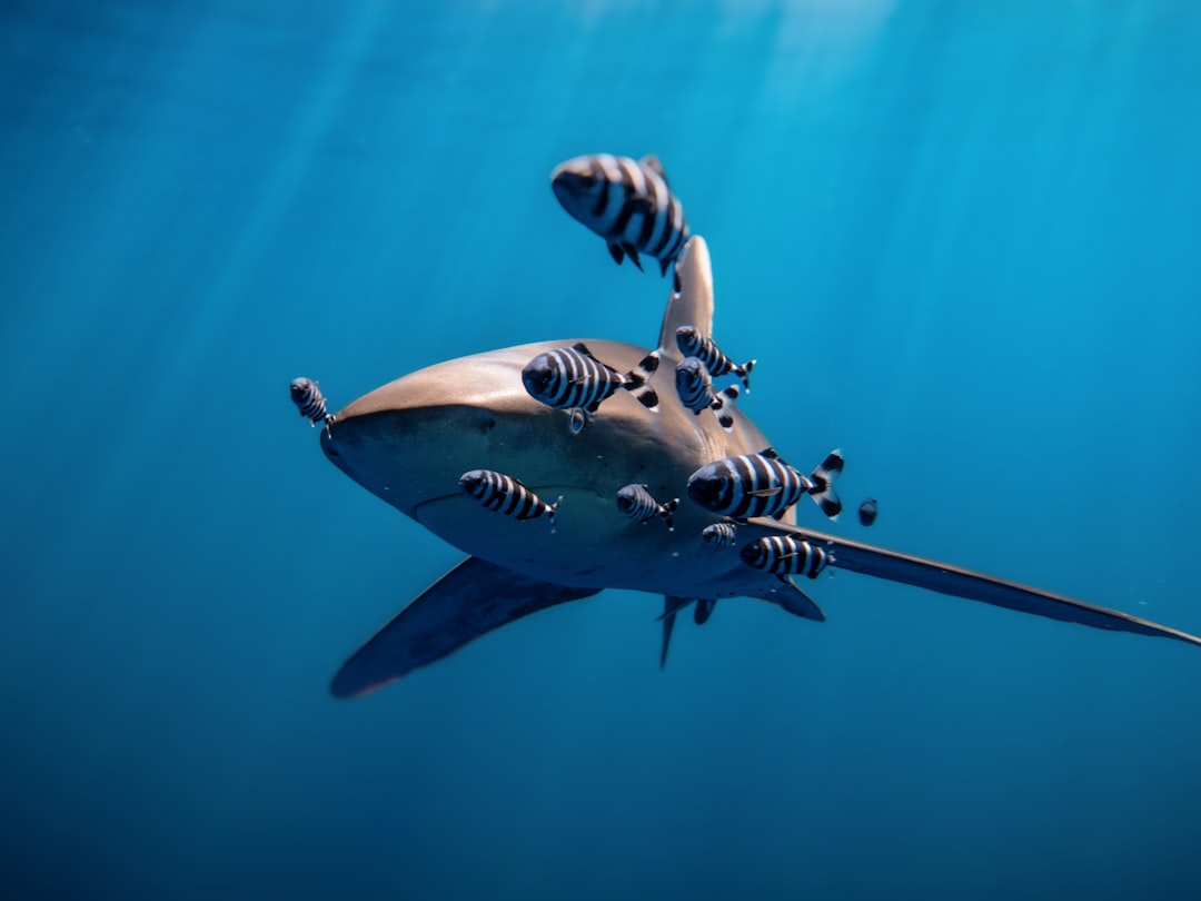 What Lies Beneath the Surface (Image Credits: Unsplash)
