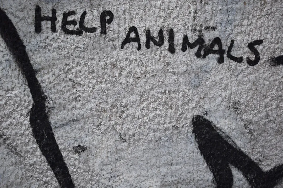 Fake Charities, Stolen Logos, and the Impersonation Game (Image Credits: Unsplash)