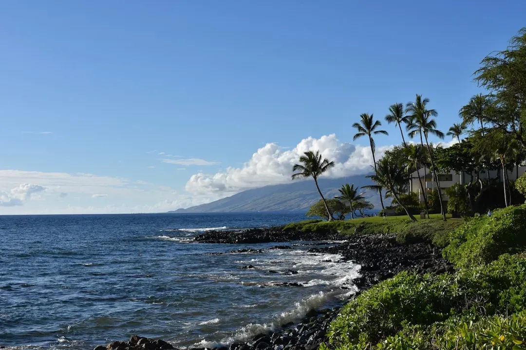 #9. Maui, Hawaii, USA (Image Credits: Unsplash)