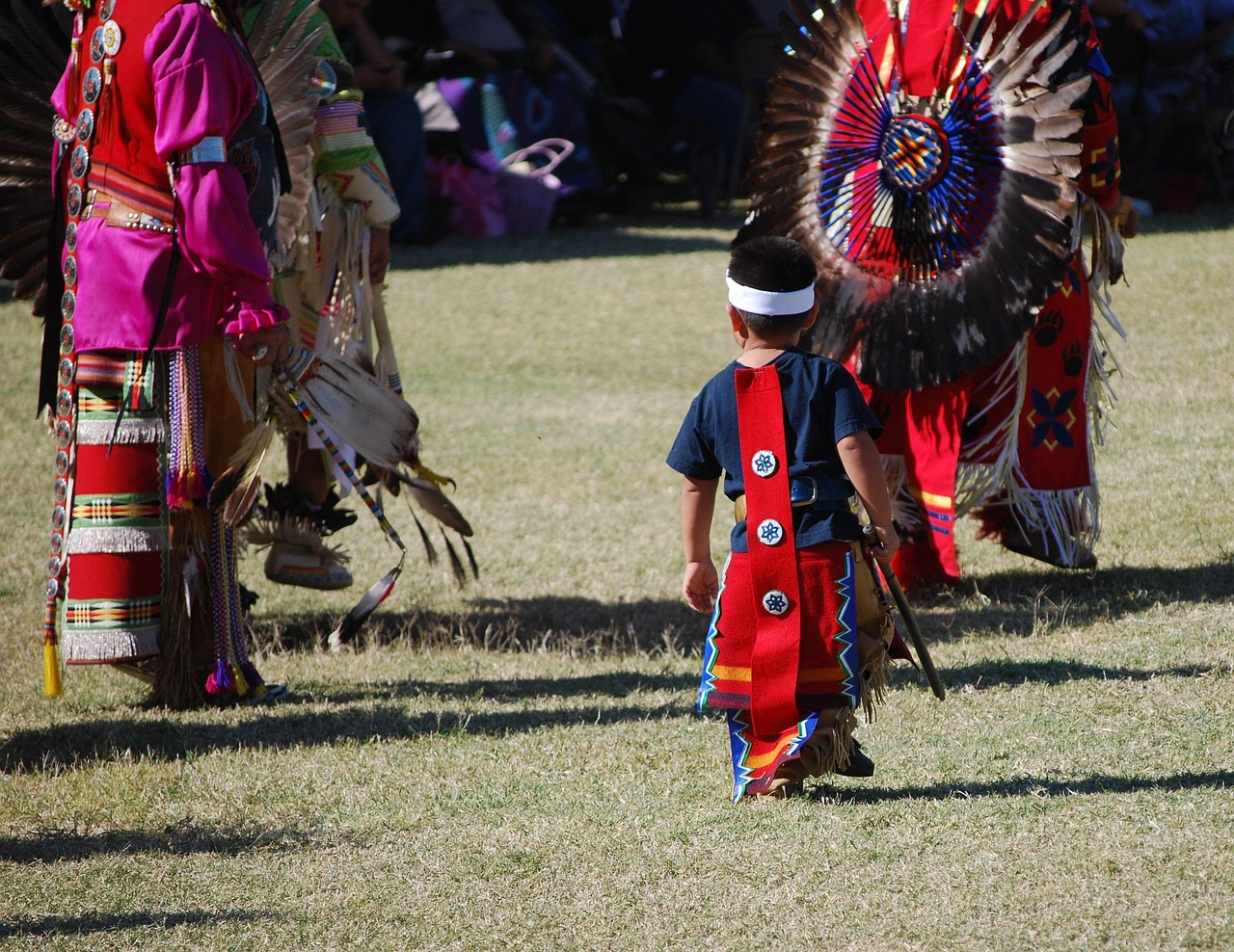 Sacred Feathers in Ceremony and Regalia (Image Credits: Pixabay)