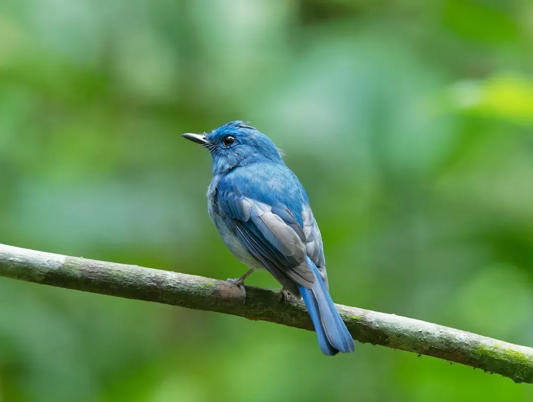 Nuanced Views on Change and Adaptation (Image Credits: Unsplash)