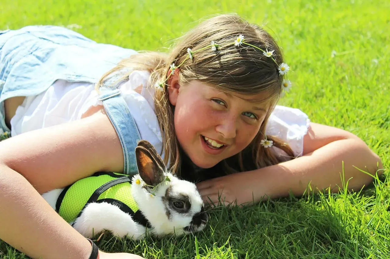 Female Rabbits Face Shocking Cancer Risks (Image Credits: Pixabay)