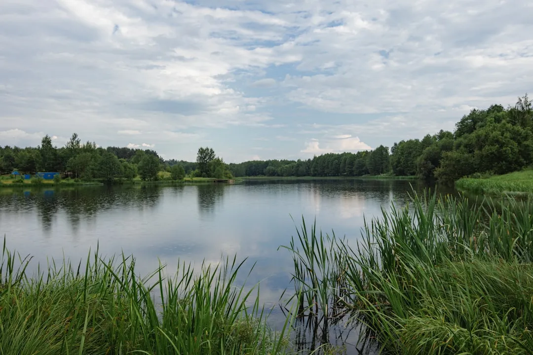 Rewetting Prairie Wetlands And Seasonal Potholes (Image Credits: Unsplash)