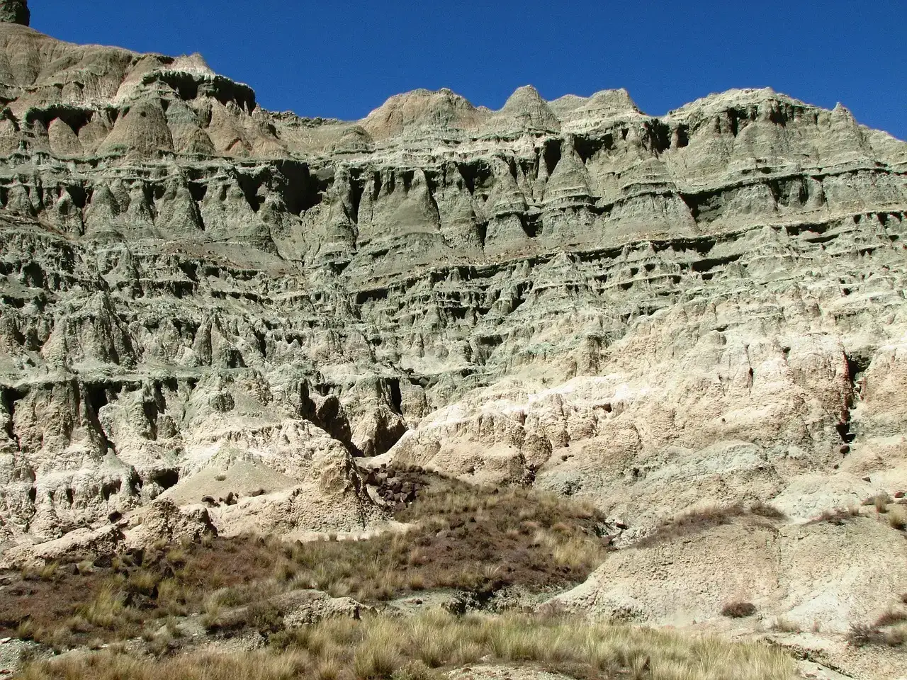 Layered Paleozoic Rocks: A Tapestry of Ancient Life (Image Credits: Pixabay)