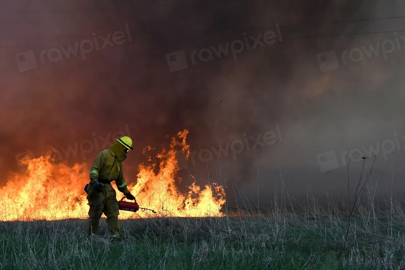Fire Use Began Much Sooner Than Traditional Estimates (Image Credits: Rawpixel)