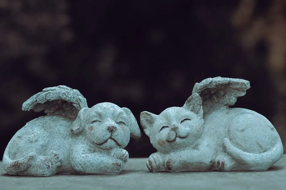 Why Pet Loss Can Feel Even More Disorienting Than Some Human Losses (Image Credits: Pexels)